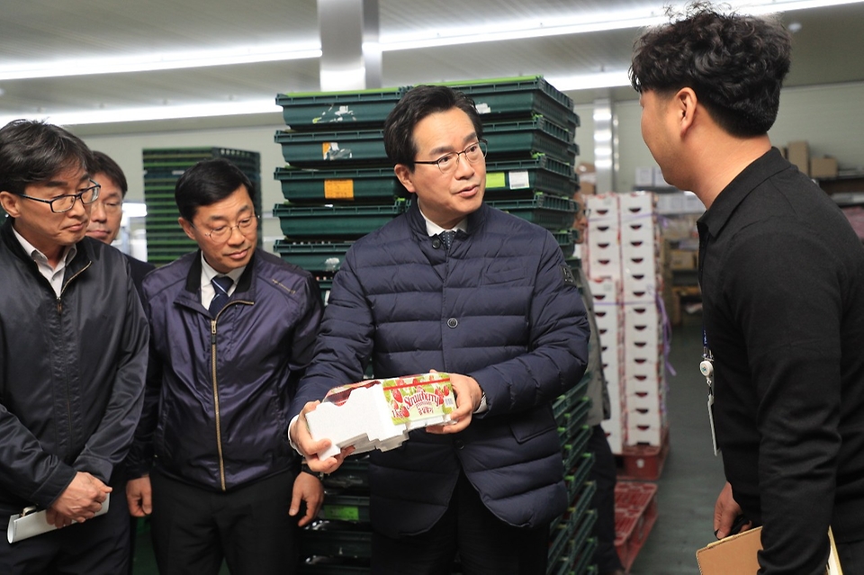 정황근 농림축산식품부 장관이 20일 충남 논산시의 수출용 딸기 생산 농가에서 현장을 둘러보고 있다.