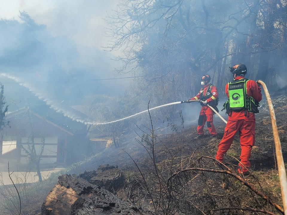 산림청 공중진화대원들이 11일 강원 강릉시 난곡동 야산에서 발생한 산불을 막기위해 물을 뿌리며 제실을 방어하고 있다.