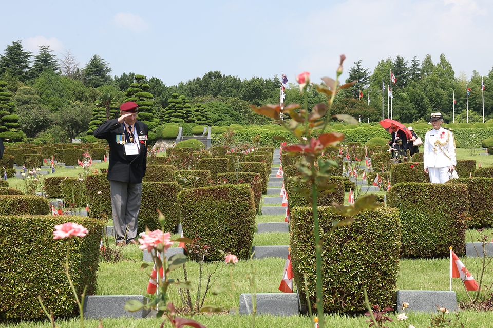 <p>27일 오전 부산 남구 유엔기념공원에서 참전용사들이 묘역을 찾아 참배하고 있다. 21개 참전국 용사와 가족 등 200여명이 유엔군 참전의 날 및 정전협정 70주년을 맞아 국가보훈부 초정으로 5박 6일 일정으로 방한했다.&nbsp;</p>