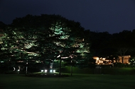 ‘청와대 밤의 산책’ 가을 정취 느껴요 사진 11