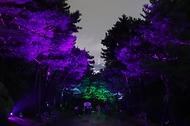‘청와대 밤의 산책’ 가을 정취 느껴요 사진 12