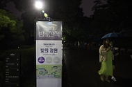 ‘청와대 밤의 산책’ 가을 정취 느껴요 사진 6