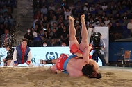 ‘K-씨름’ 추석장사 모여라 사진 6