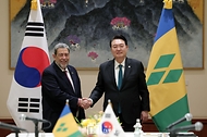 한-세인트빈센트그레나딘 정상회담 사진 1