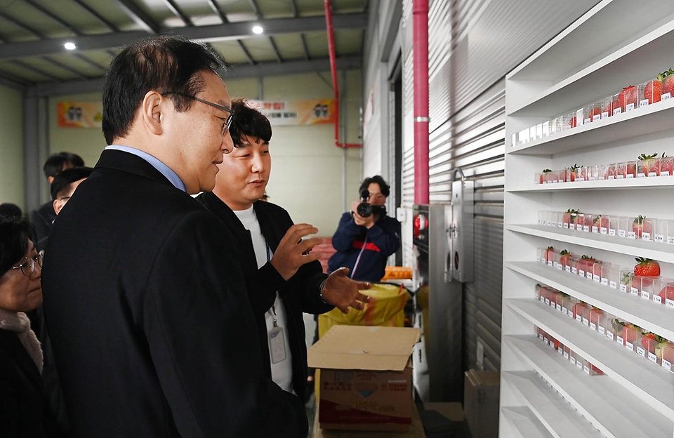 정인교 산업통상자원부 통상교섭본부장이 6일 충남 논산시 광석면에 위치한 농산물단지유통센터에서 딸기 수출 관련 시설 현장을 둘러보며 관계자의 설명을 듣고 있다.