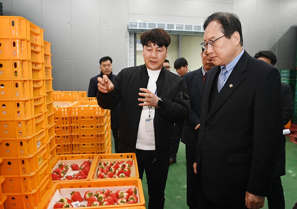 정인교 산업통상자원부 통상교섭본부장이 6일 충남 논산시 광석면에 위치한 농산물단지유통센터에서 딸기 수출 관련 시설 현장을 둘러보며 관계자의 설명을 듣고 있다.