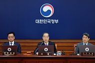 제13회 국무회의 사진 5
