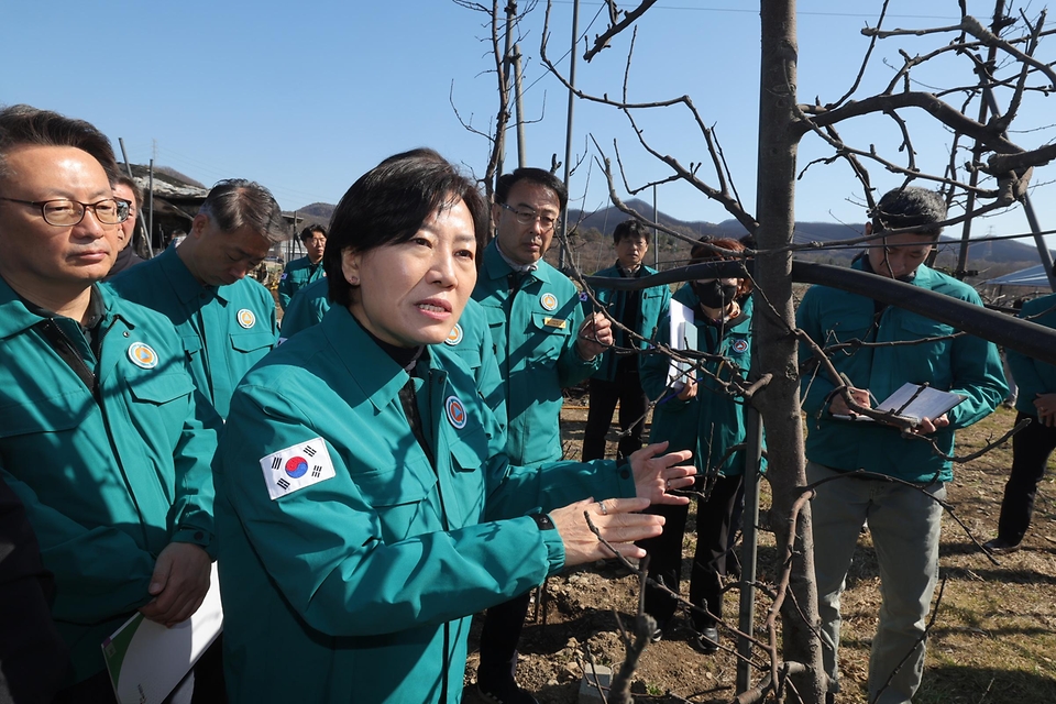 송미령 농식품부 장관은 경북 의성군 산불 피해 과수원과 축산농장을 찾아 삶의 터전을 잃어버린 농가를 위로하고, 현장의 애로사항 등을 청취하였습니다.