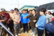 봄배추 생육상황 점검 사진 4