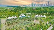 광복 80주년 기념 나라꽃 무궁화 대축제 사진 22