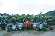 광복 80주년 기념 나라꽃 무궁화 대축제 사진 2