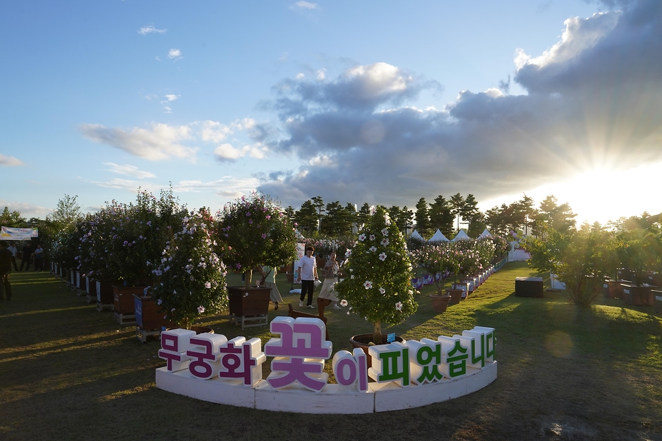 2025년 8월 14일 세종시 국립세종수목원에서 광복 80주년 기념 나라꽃 무궁화 대축제가 열리고 있다.