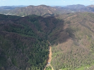산림청, 산불 피해지 산사태 예방 사업 현장 점검 사진 3