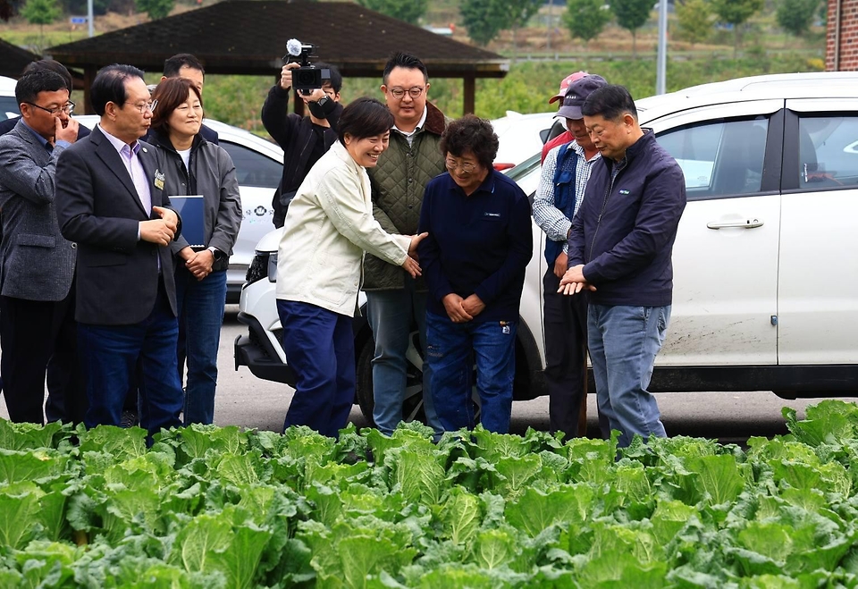 송미령 농림축산식품부 장관은 2025.10.26. 본격적인 김장철을 앞두고  충청북도 괴산군에 방문해 배추 작황을 살펴보았습니다.