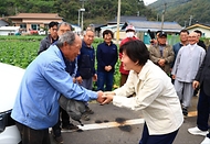 김장 배추 수급상황 점검 사진 1
