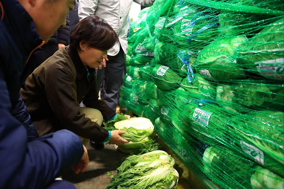 송미령 농림축산식품부 장관은 2025.11.12.(수) 서울 송파구에 위치한 가락시장을 찾아, 배추·무 등 주요 김장재료의 출하상황과 도매가격 등을 점검하였습니다.