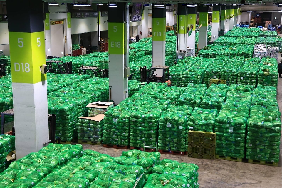 송미령 농림축산식품부 장관은 2025.11.12.(수) 서울 송파구에 위치한 가락시장을 찾아, 배추·무 등 주요 김장재료의 출하상황과 도매가격 등을 점검하였습니다.