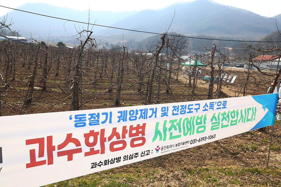 송미령 농림축산식품부 장관이 3월 24일 경기도 용인시에 위치한 사과 재배 과원을 방문해 과수화상병 사전 예방 및 비료 등 농기자재 공급 상황을 점검하고 있다. 또한 인근 농협주유소를 방문해 면세유 공급 및 가격동향 점검하고, 농협 관계자들과 면세유 가격 안정화 방안을 논의하고 있다.