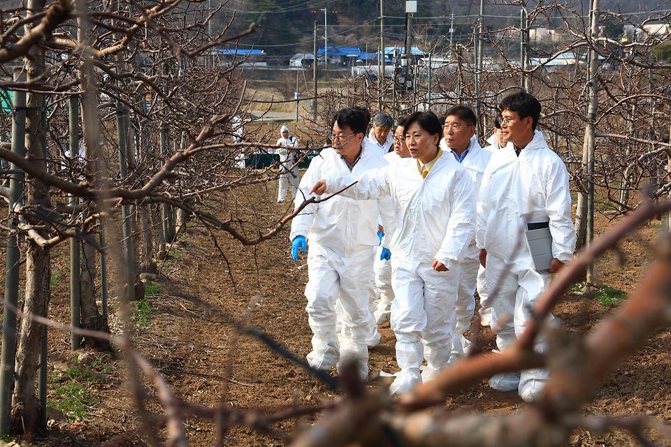 송미령 농림축산식품부 장관이 3월 24일 경기도 용인시에 위치한 사과 재배 과원을 방문해 과수화상병 사전 예방 및 비료 등 농기자재 공급 상황을 점검하고 있다. 또한 인근 농협주유소를 방문해 면세유 공급 및 가격동향 점검하고, 농협 관계자들과 면세유 가격 안정화 방안을 논의하고 있다.