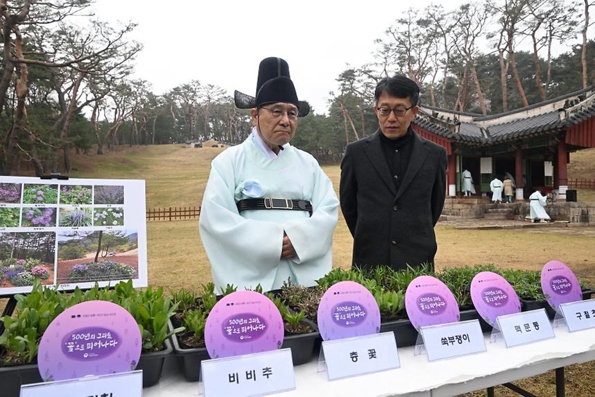 허민 국가유산청장이 4월 11일 남양주 사릉(정순왕후의 능)에서 채취한 들꽃을 영월 장릉(단종의 능)에 식재하는 행사와 고유제를 실시하고 있다.
