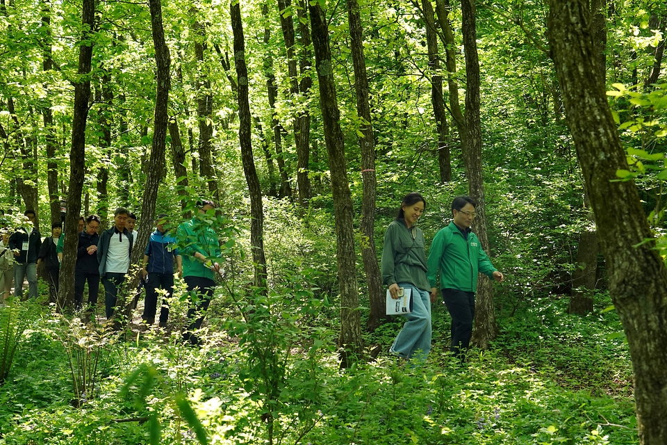 5월 16일 강원도 정선군 사북읍 하이원리조트에서 열린 '제12회 하늘숲길 걷기 축제'에서 참가자들이 출발선에서 기념촬영을 하고 있다.