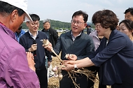 마늘 수확 기계화 현장 점검 사진 3