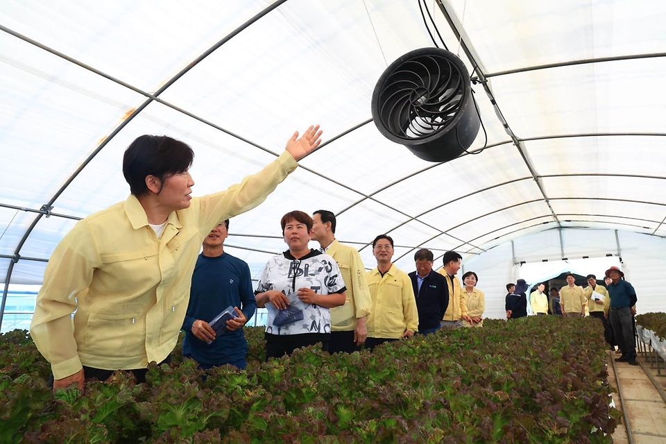 송미령 농림축산식품부 장관이 8월 8일 전북특별자치도 익산시 소재 육계 농장과 상추 시설하우스를 방문해 폭염 대응 상황을 점검하고, 농업인과 외국인 근로자의 안전을 위해 가장 더운 시간대 작업을 중단하는 '농작업 멈춤'이 현장에서 잘 실천되고 있는지 살펴보고 있다.