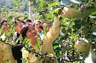 추석 성수품(사과) 수급현장 점검 사진 5