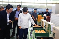 추석 성수품 수급상황 및 할인지원 현장 점검 사진 7