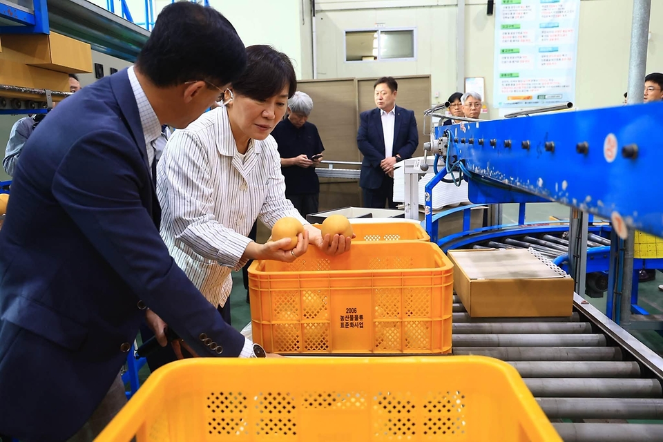 송미령 농림축산식품부 장관이 9월 12일 경기도 안성시 소재 과수 거점 산지유통센터(APC)와 롯데마트를 방문해 추석 성수품 공급·유통 현장을 점검하고 현장 관계자를 격려하고 있다.