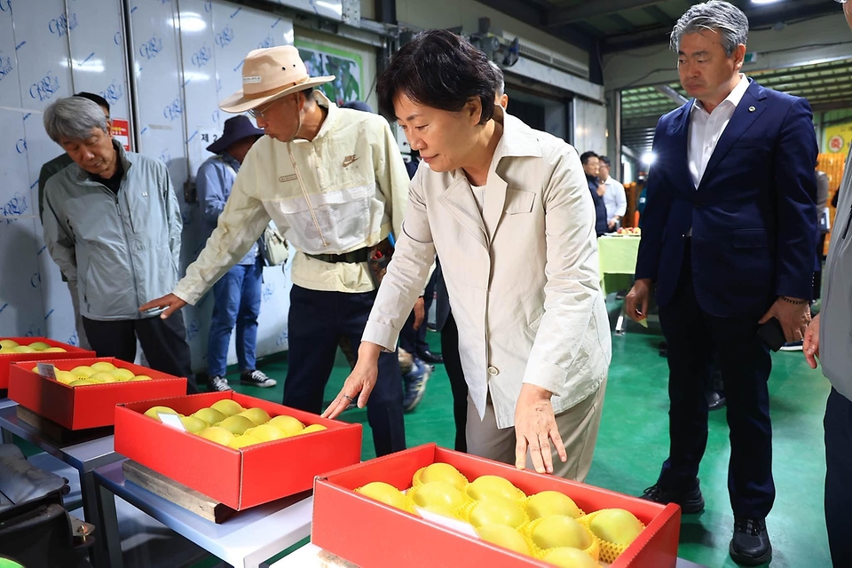 송미령 농림축산식품부 장관이 10월 14일 경남 함양군 사과 재배 농가를 방문해, 홍로·후지 등 주요 사과 품종의 작황 점검과 함께 농업인들의 애로사항을 청취하고 있다.