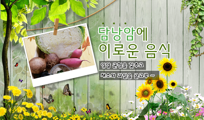 담낭암에 이로운 음식 영양 균형을 맞추고 채소와 과일을 골고루~
