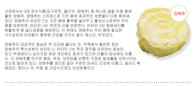 양배추