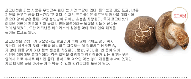 표고버섯