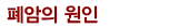 폐암의 원인