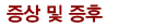 증상 및 증후
