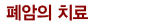 폐암의 치료