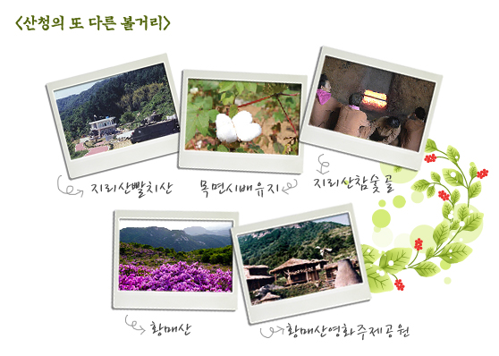 산청의 또다른 볼거리들