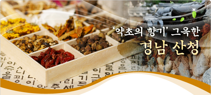 약초의 향기 그윽한 '경남 산청'