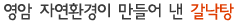 영암 자연환경이 만들어 낸 갈낙탕