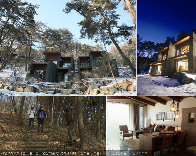 리솜포레스트에는 아름다운 낙엽산책길 등 갖가지 테마의 산책길이 조성되어 있다_사진제공 : 리솜포레스트
