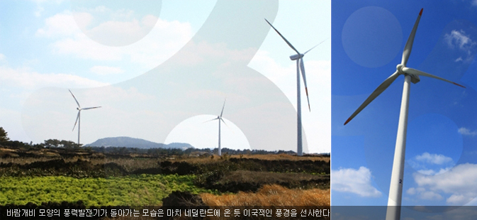 바람개비 모양의 풍력발전기가 돌아가는 모습은 마치 네덜란드에 온 듯 이국적인 풍경을 선사한다