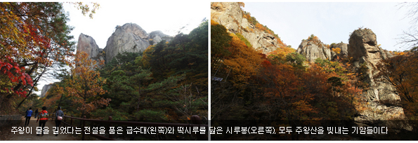 홍어 잡는 건주낙을 손질 중인 어부(왼쪽)와 홍어 경매가 열리는 수협 위판장(오른쪽)