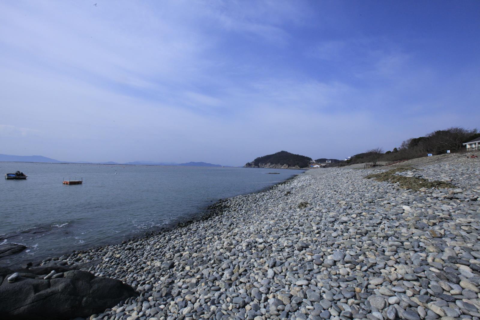 73년만에 발견된 희귀종‘두이빨사각게’