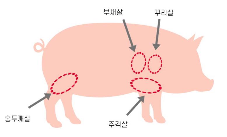 2001년도