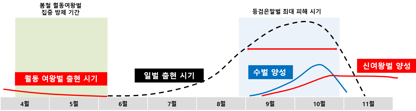 그림입니다. 원본 그림의 이름: 그림1.png 원본 그림의 크기: 가로 1362pixel, 세로 366pixel