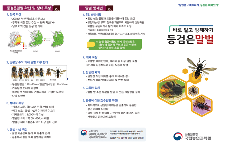 그림입니다.  원본 그림의 이름: CLP000005b04382.bmp  원본 그림의 크기: 가로 729pixel, 세로 464pixel