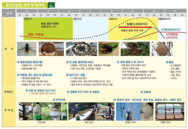 그림입니다.  원본 그림의 이름: CLP000005b00001.bmp  원본 그림의 크기: 가로 746pixel, 세로 514pixel