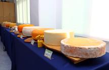 그림입니다.  원본 그림의 이름: PHM10968.JPG  원본 그림의 크기: 가로 5062pixel, 세로 3375pixel  사진 찍은 날짜: 2022년 11월 03일 오후 2:58  카메라 제조 업체 : Canon  카메라 모델 : Canon EOS-1D X Mark II  프로그램 이름 : PhotoScape  F-스톱 : 13.0  노출 시간 : 1/125초  IOS 감도 : 1600  색 대표 : sRGB  노출 모드 : 자동  프로그램 노출 : 조리개 우선 모드  측광 모드 : 평가 측광  플래시 모드 : 플래시 켬  EXIF 버전 : 0231