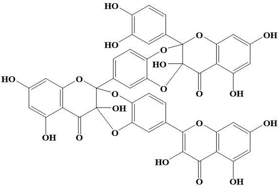그림입니다. 원본 그림의 이름: 다중결합체.jpg 원본 그림의 크기: 가로 573pixel, 세로 382pixel